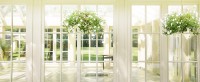 /album/bilder/oknalux-double-tripple-glazed-windows-5-jpg1/